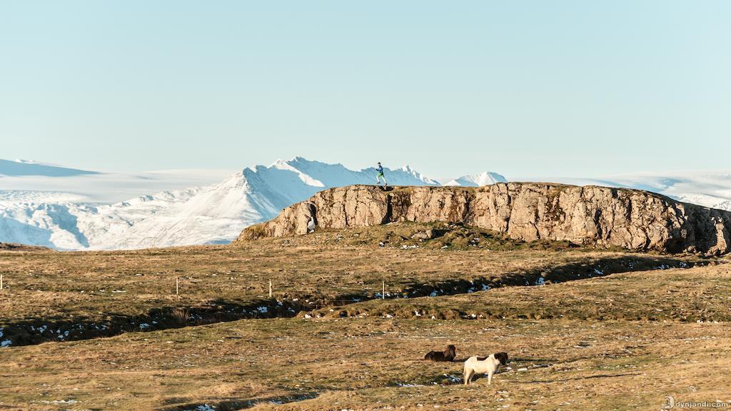Dynjandi Guesthouse Höfn Exteriér fotografie