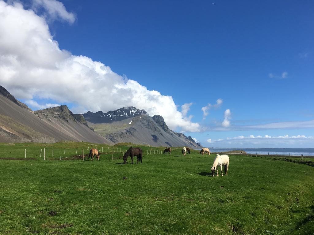 Dynjandi Guesthouse Höfn Exteriér fotografie